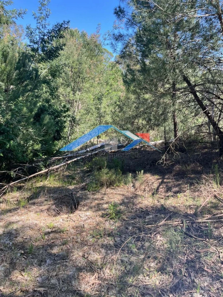 Terreno para Venda em Branca Foto 8