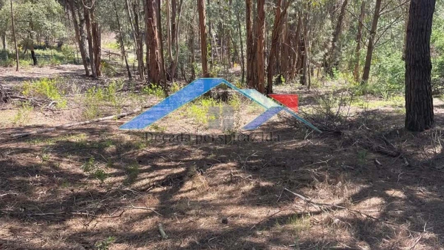 Terreno para Venda em Branca