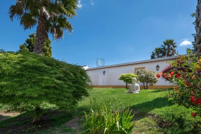 Quinta T4 para Venda em Carvalhal