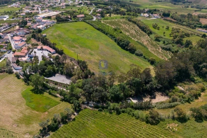 Quinta T4 para Venda em Carvalhal