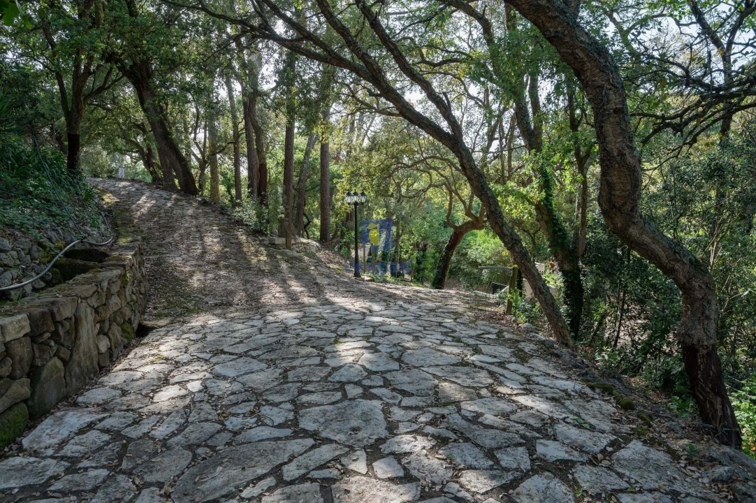 Quinta T4 para Venda em Carvalhal Foto 55