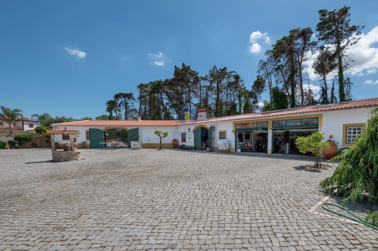 Quinta T4 para Venda em Carvalhal Foto 7