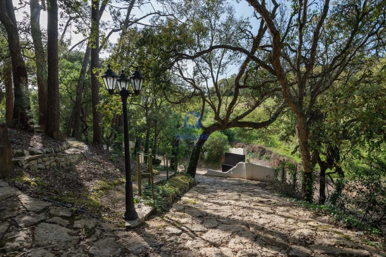 Quinta T4 para Venda em Carvalhal Foto 58