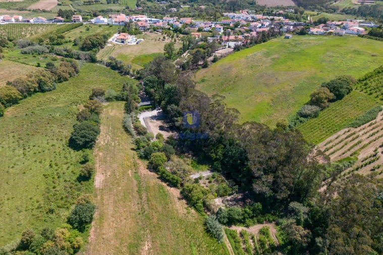 Quinta T4 para Venda em Carvalhal Foto 63