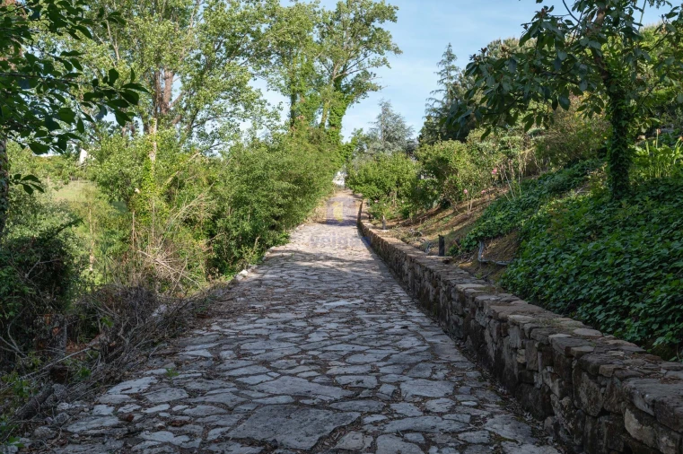 Quinta T4 para Venda em Carvalhal Foto 56