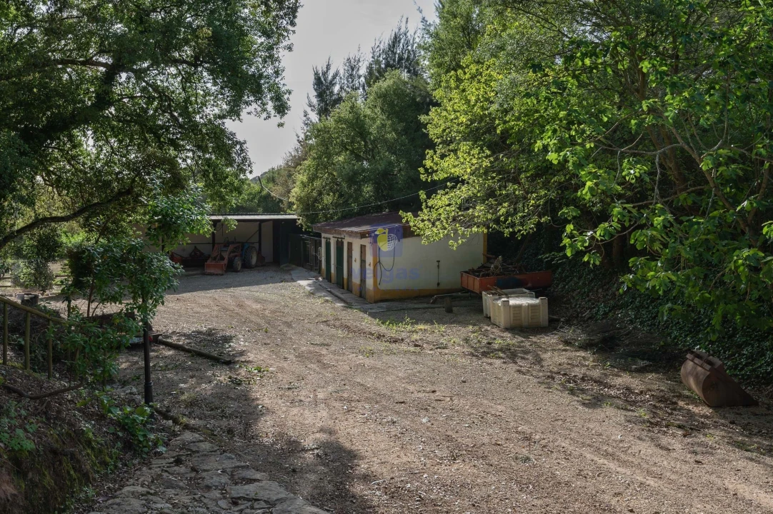 Moradia T4 para Venda em Carvalhal Foto 57