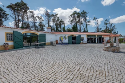 Moradia T4 para Venda em Carvalhal