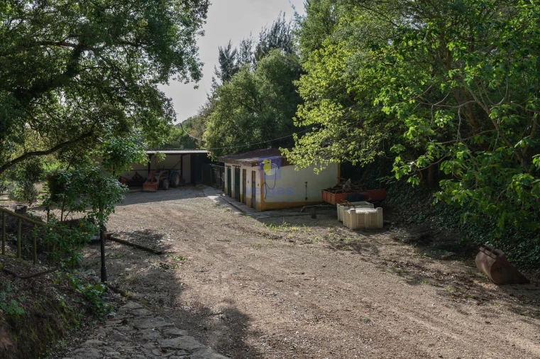 Moradia T4 para Venda em Carvalhal Foto 57