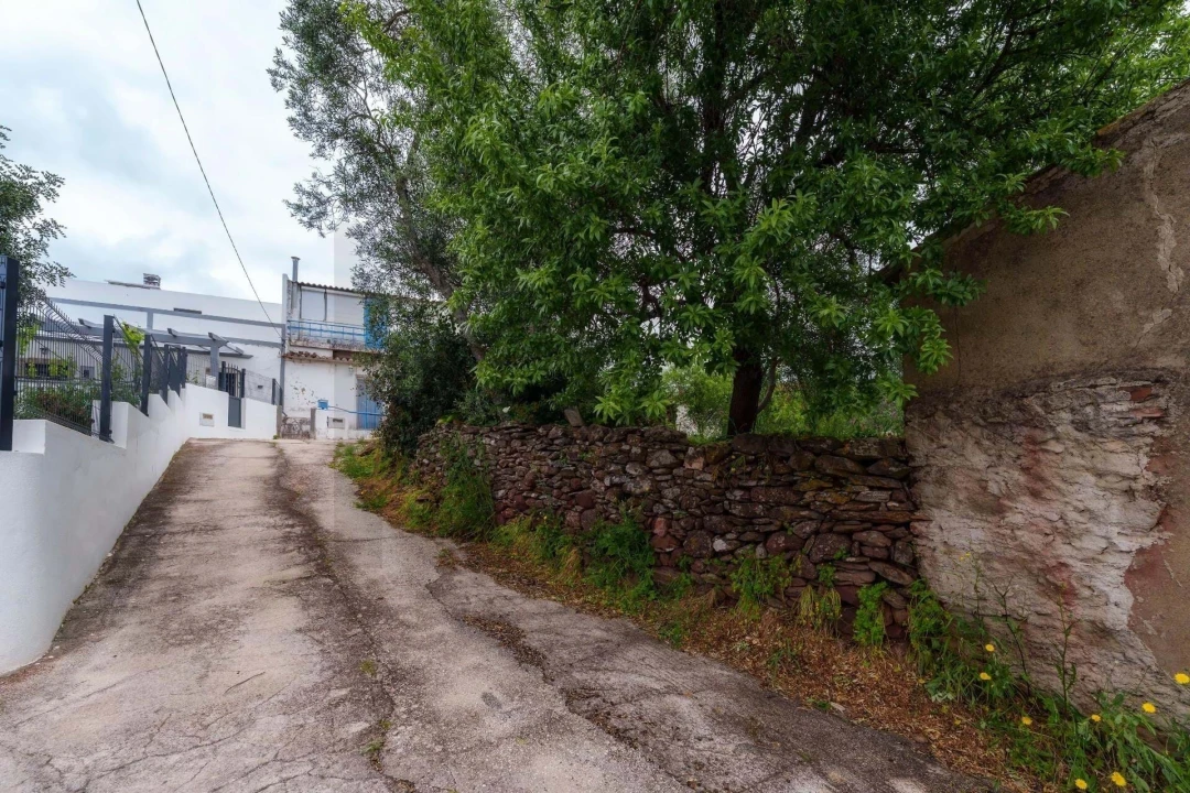 Moradia para Venda em Loule (São Clemente) Foto 3