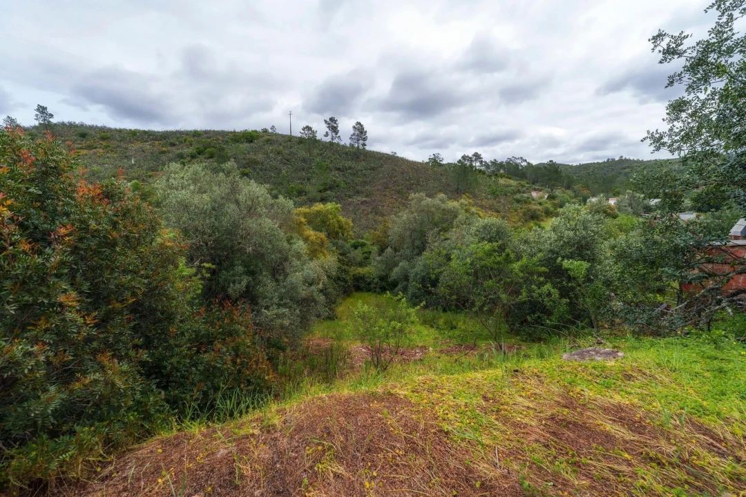 Moradia para Venda em Loule (São Clemente) Foto 14