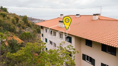 Apartamento para Venda em Caniço
