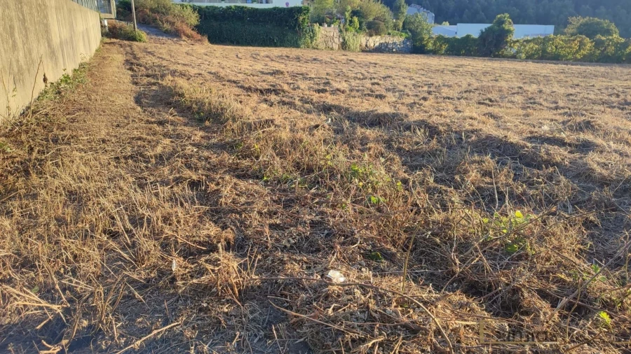 Terreno para Venda em Duas Igrejas Foto 4