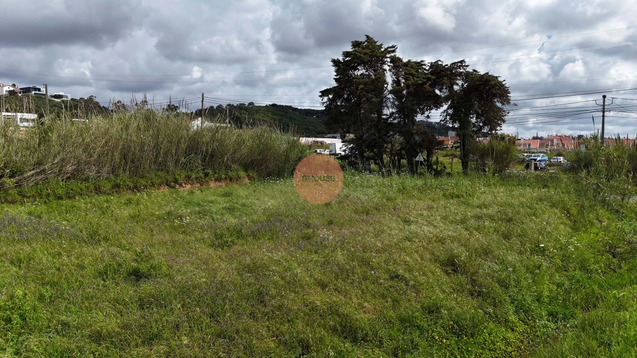 Terreno para Venda em Tornada e Salir do Porto Foto 23