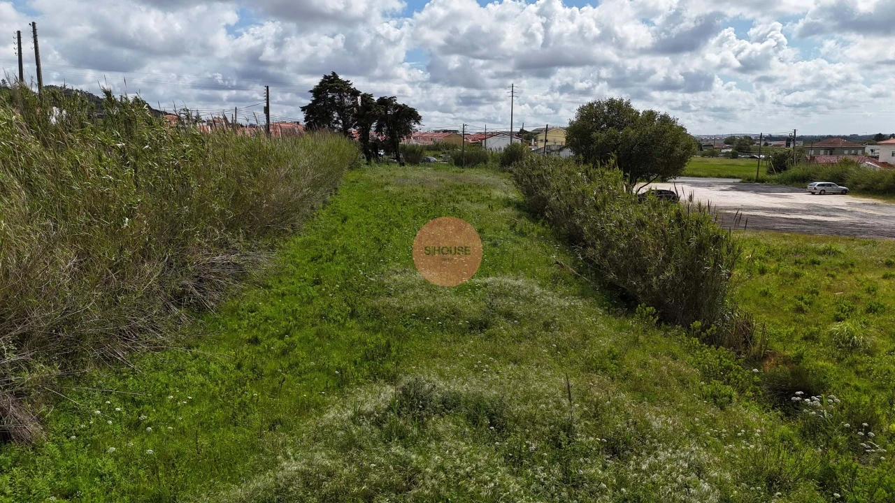 Terreno para Venda em Tornada e Salir do Porto Foto 10
