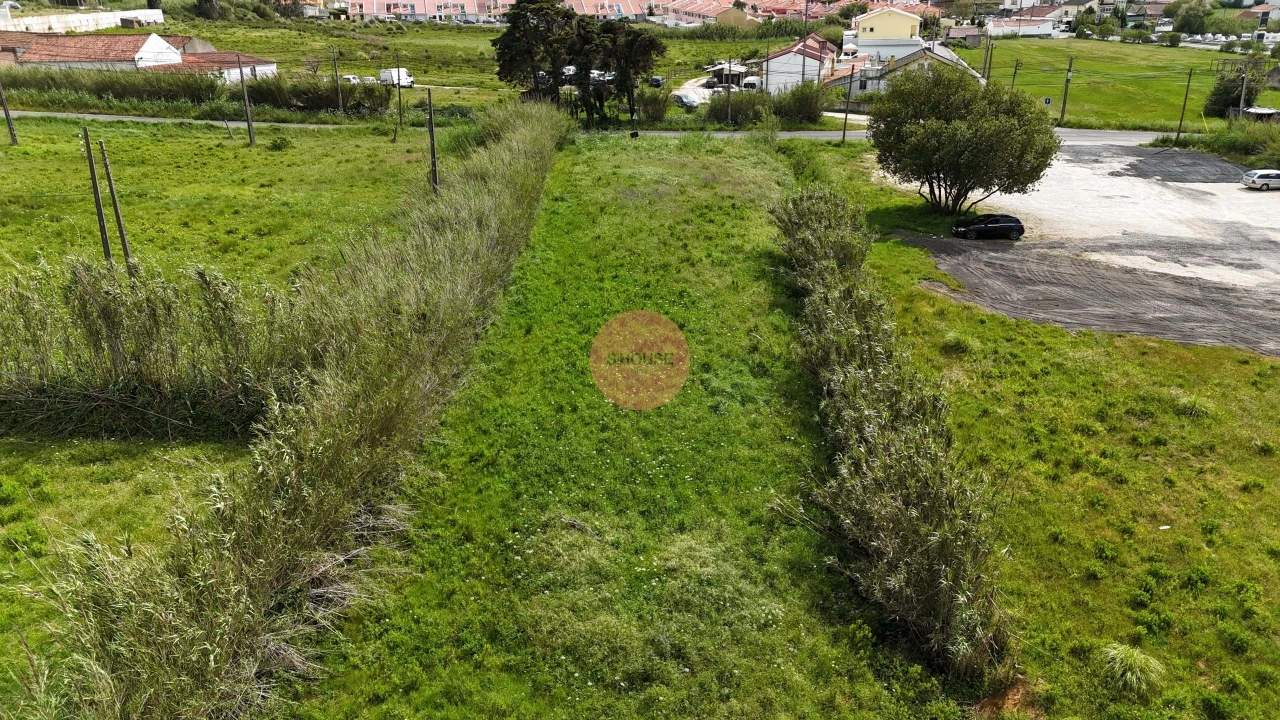 Terreno para Venda em Tornada e Salir do Porto Foto 8