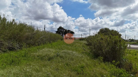 Terreno para Venda em Tornada e Salir do Porto