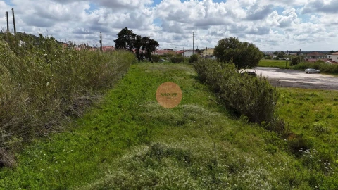 Terreno para Venda em Tornada e Salir do Porto