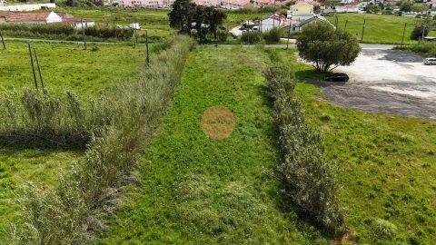 Terreno para Venda em Tornada e Salir do Porto