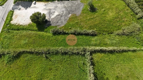 Terreno para Venda em Tornada e Salir do Porto