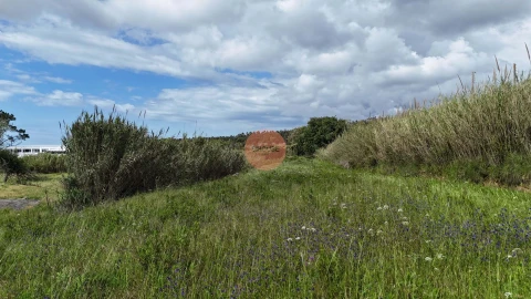 Terreno para Venda em Tornada e Salir do Porto