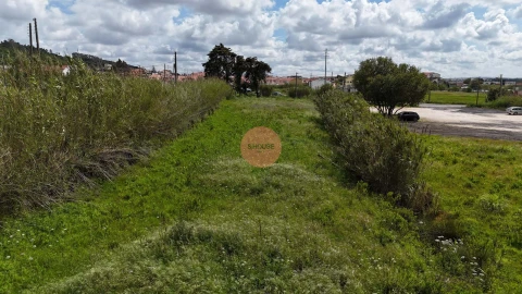 Terreno para Venda em Tornada e Salir do Porto