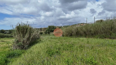 Terreno para Venda em Tornada e Salir do Porto