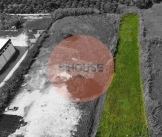 Terreno para Venda em Tornada e Salir do Porto
