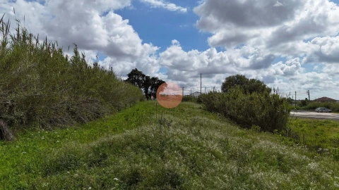 Terreno para Venda em Tornada e Salir do Porto