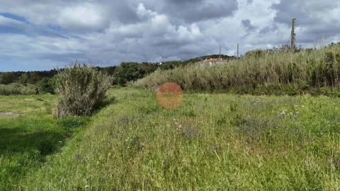 Terreno para Venda em Tornada e Salir do Porto