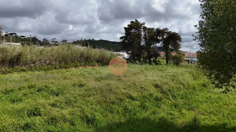 Terreno para Venda em Tornada e Salir do Porto