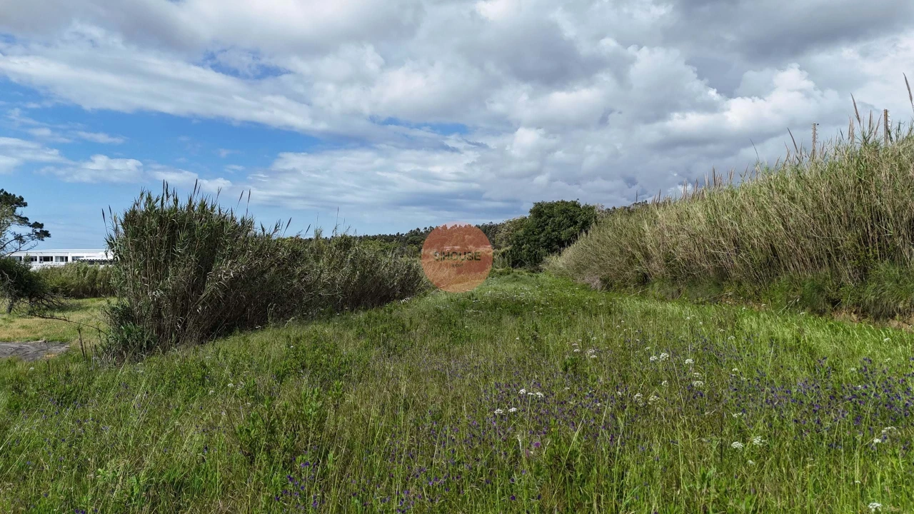 Terreno para Venda em Tornada e Salir do Porto Foto 19