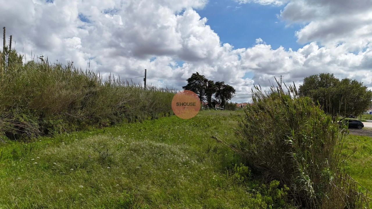 Terreno para Venda em Tornada e Salir do Porto Foto 13