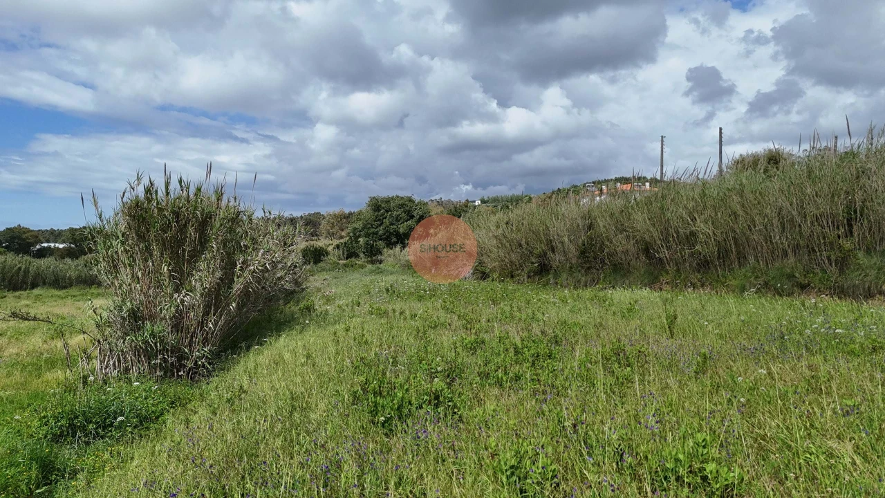 Terreno para Venda em Tornada e Salir do Porto Foto 20