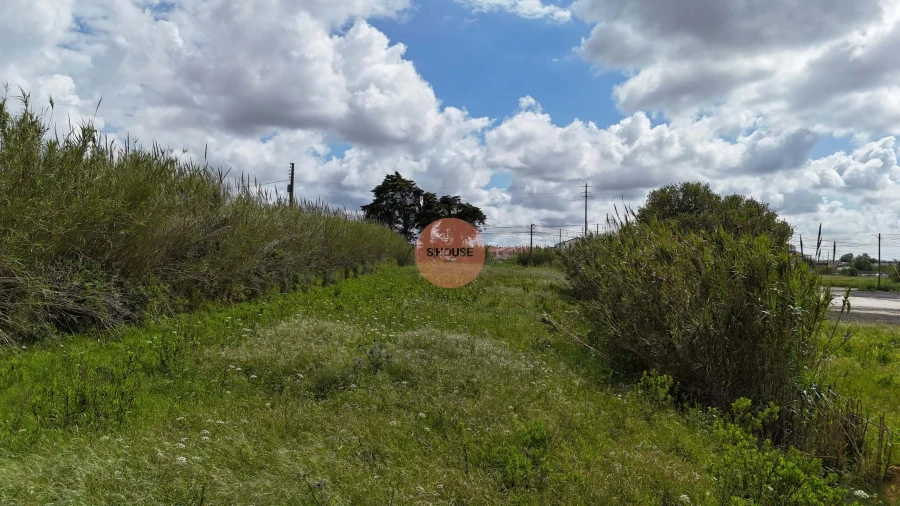 Terreno para Venda em Tornada e Salir do Porto Foto 12