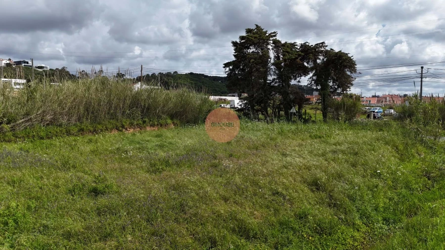 Terreno para Venda em Tornada e Salir do Porto Foto 23