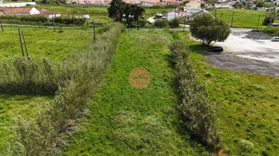 Terreno para Venda em Tornada e Salir do Porto Foto 8