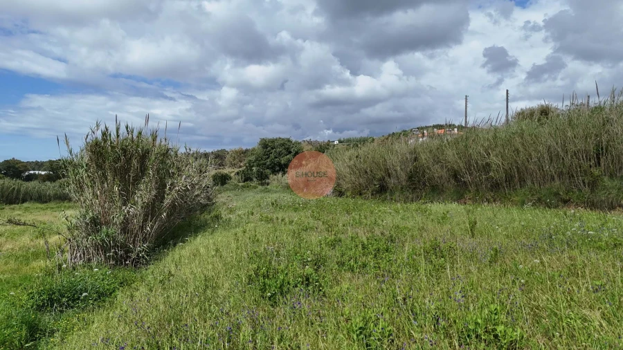Terreno para Venda em Tornada e Salir do Porto Foto 20