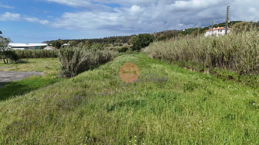 Terreno para Venda em Tornada e Salir do Porto Foto 16