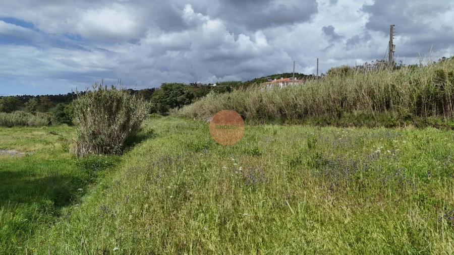 Terreno para Venda em Tornada e Salir do Porto Foto 22