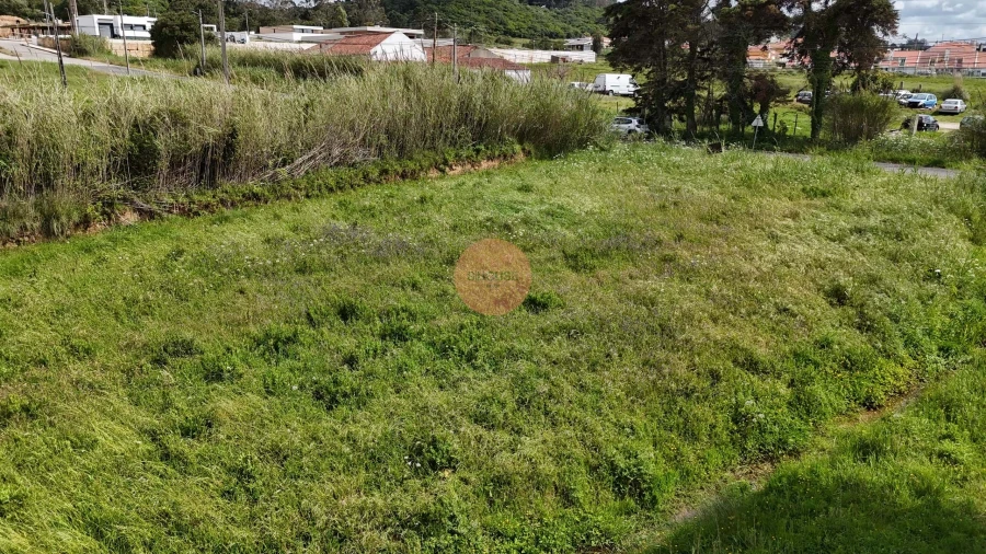 Terreno para Venda em Tornada e Salir do Porto Foto 15