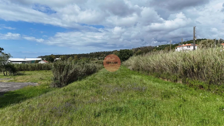 Terreno para Venda em Tornada e Salir do Porto Foto 18