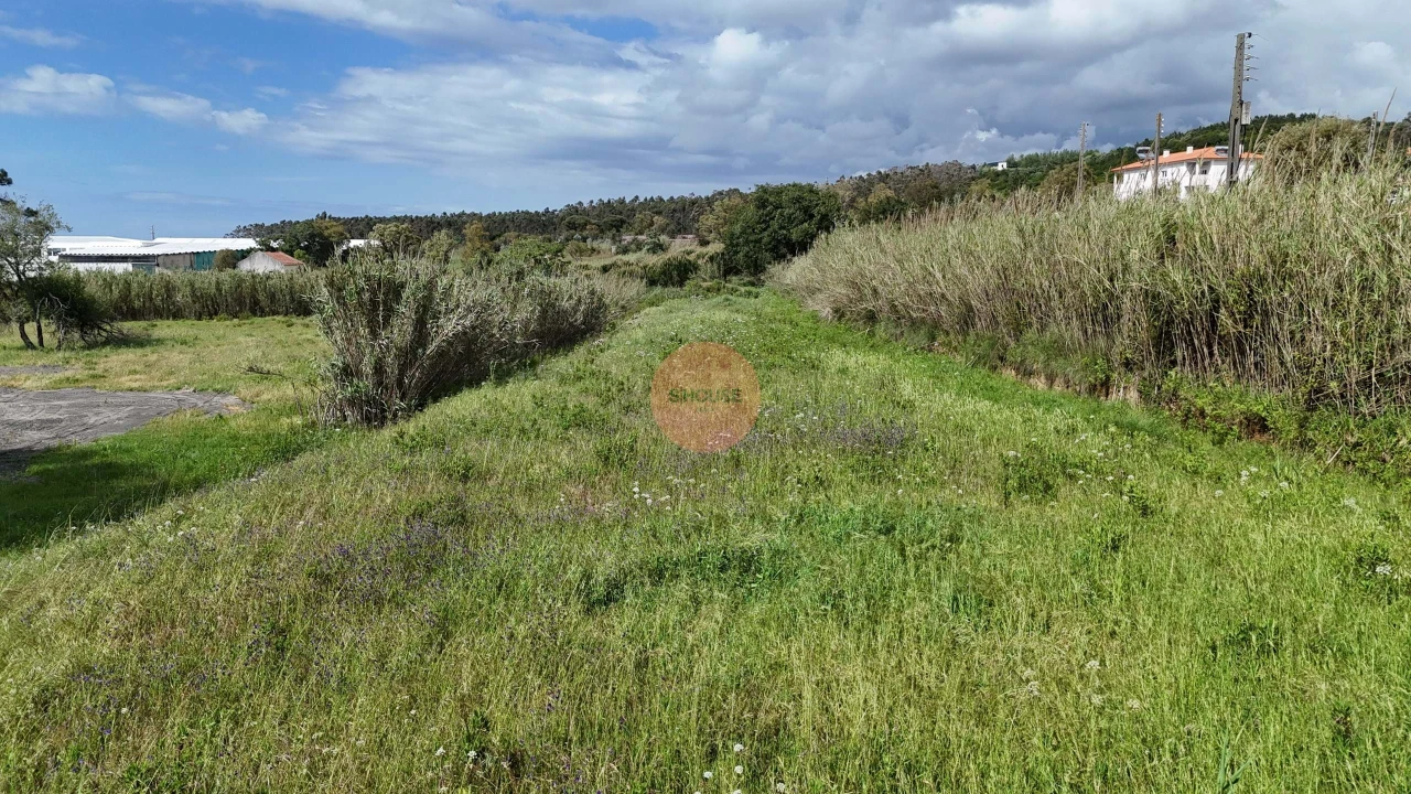 Terreno para Venda em Tornada e Salir do Porto Foto 16