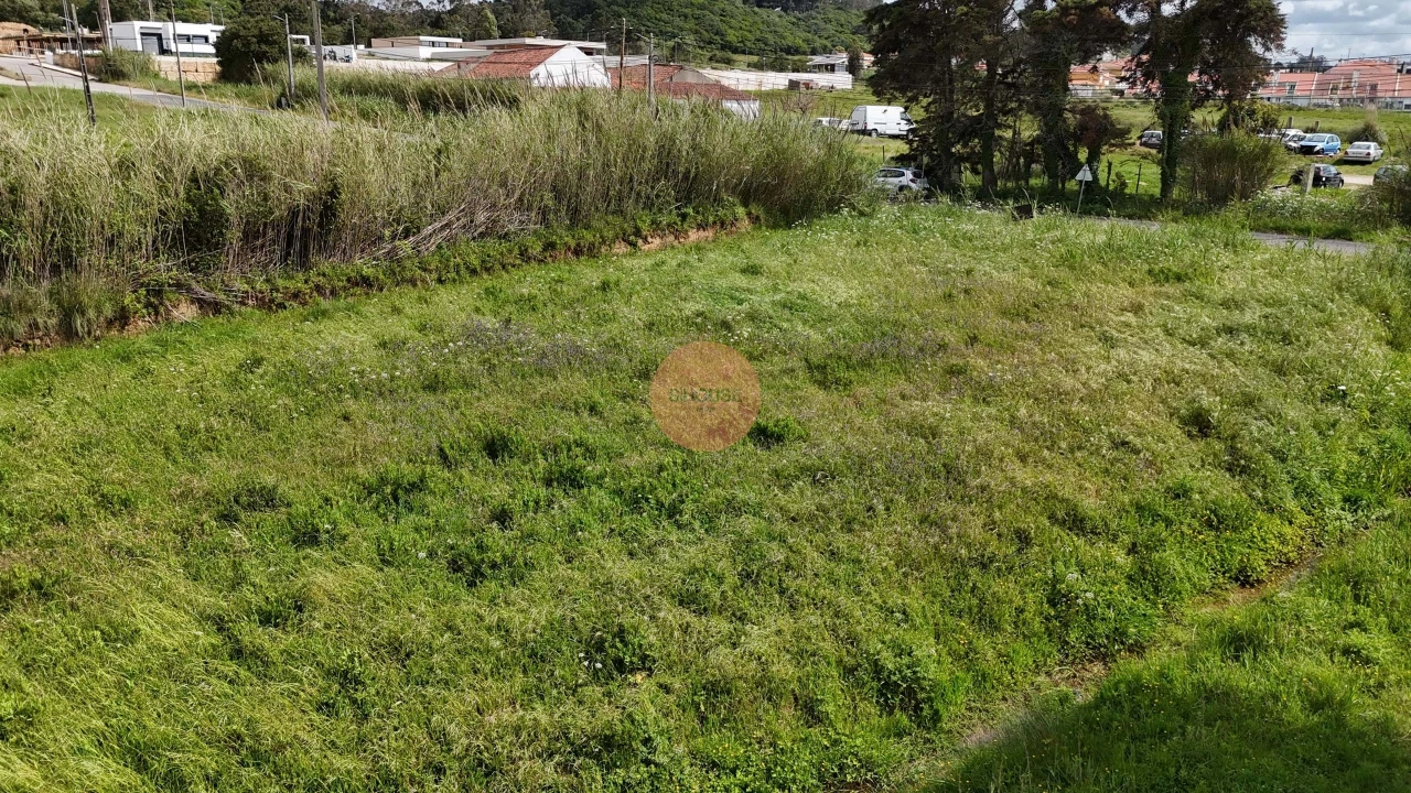 Terreno para Venda em Tornada e Salir do Porto Foto 15