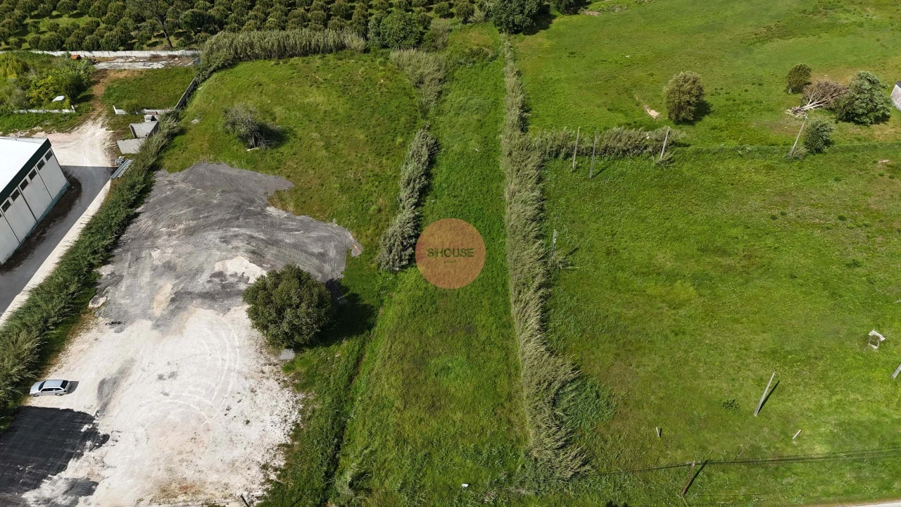 Terreno para Venda em Tornada e Salir do Porto Foto 5