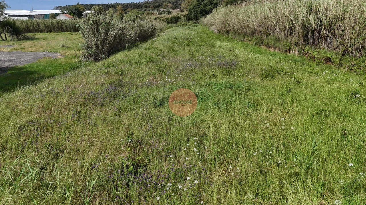 Terreno para Venda em Tornada e Salir do Porto Foto 17