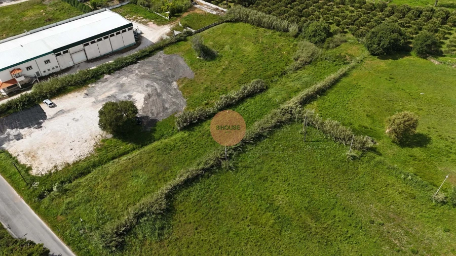 Terreno para Venda em Tornada e Salir do Porto
