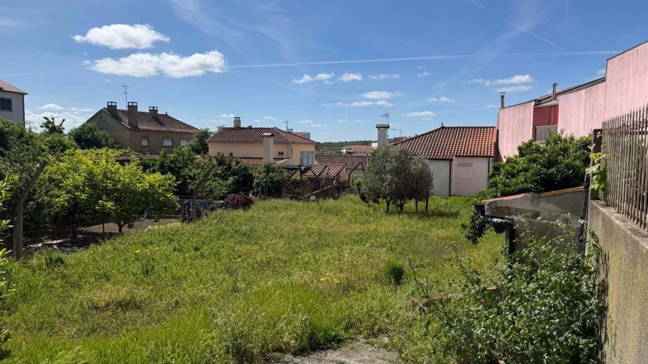 Terreno para Venda em Vila Flor e Nabo Foto 3