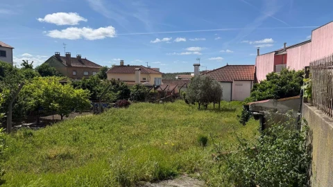 Terreno para Venda em Vila Flor e Nabo