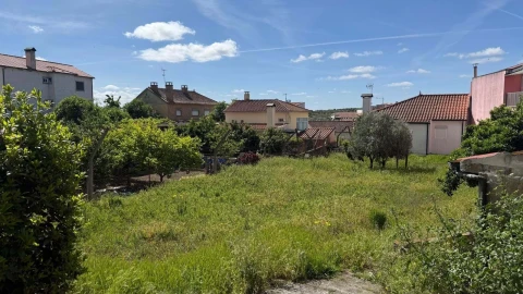 Terreno para Venda em Vila Flor e Nabo