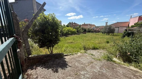 Terreno para Venda em Vila Flor e Nabo